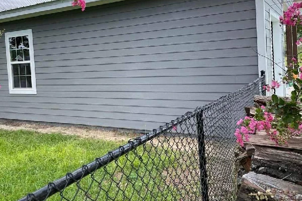 Fence Painting
